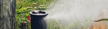Irrigation Blowout Services by Firmly Rooted