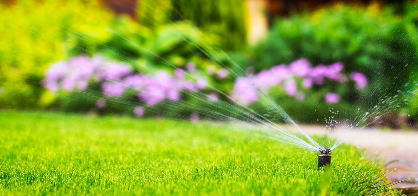 Irrigation Installation Services by Firmly Rooted