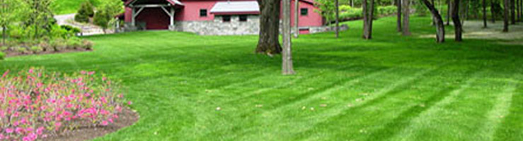 NH Landscaping Service: Mowing & More