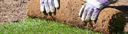 Sod Installation Services by Firmly Rooted