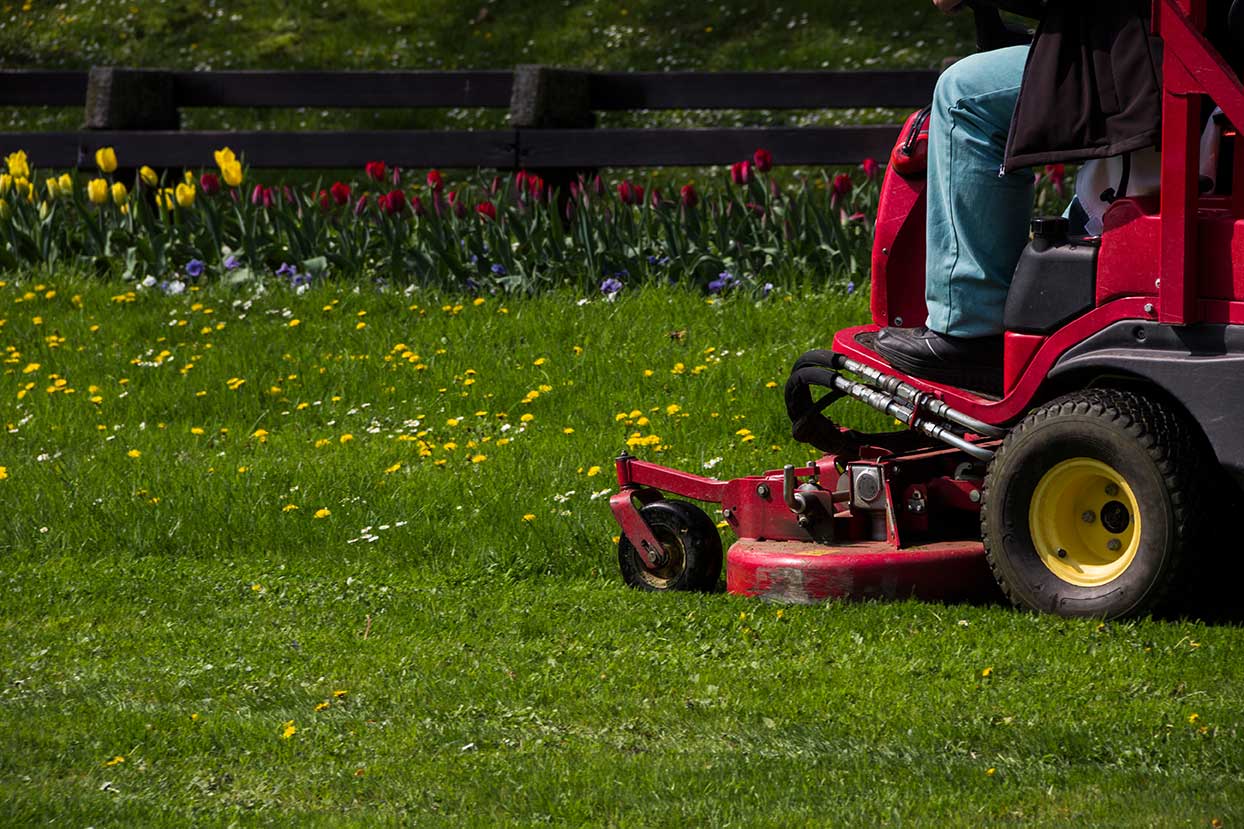How often should you mow your lawn in NH?